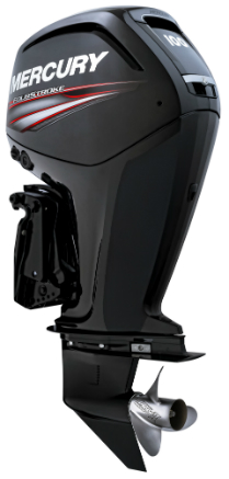 Mercury F 100 EFI
